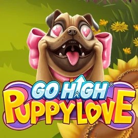 Play the Go High Puppy Love slot by RubyPlay on Wintino Casino